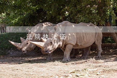 法院执法证 法院执法证