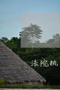 法院执结执行年 法院执结执行年