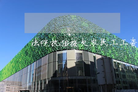 法院执结拖欠农民工工资案件 法院执结拖欠农民工工资案件