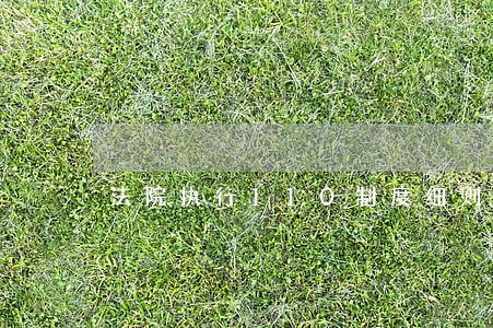 法院执行110制度细则 法院执行110制度细则