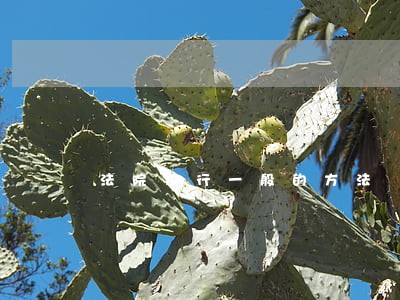 法院执行一般的方法