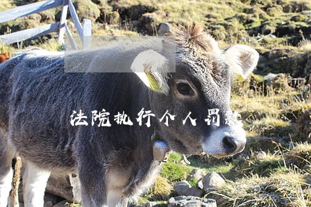 法院执行个人罚款 法院执行个人罚款