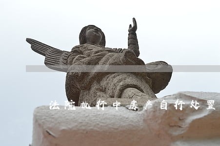 法院执行中房产自行处置