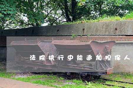 法院执行中能追加担保人吗 法院执行中能追加担保人吗