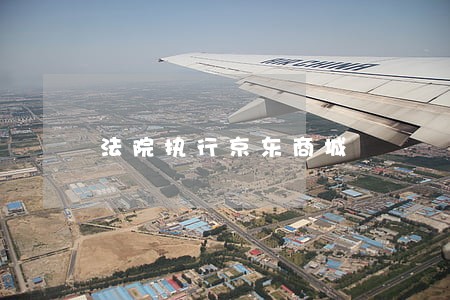 法院执行京东商城
