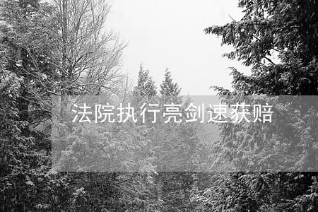 法院执行亮剑速获赔 法院执行亮剑速获赔