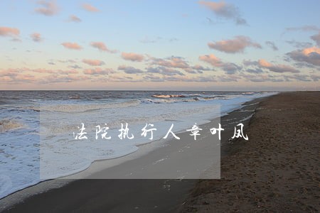 法院执行人章叶凤