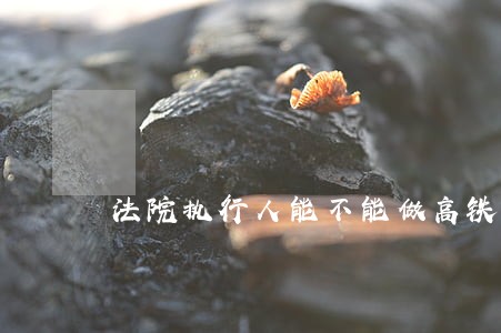 法院执行人能不能做高铁 法院执行人能不能做高铁