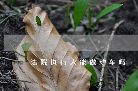 法院执行人能做动车吗 法院执行人能做动车吗