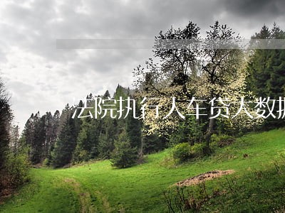 法院执行人车贷大数据过不了 法院执行人车贷大数据过不了