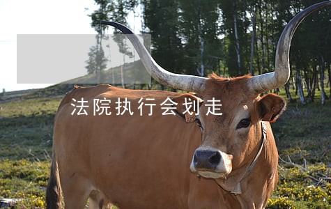 法院执行会划走