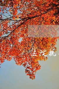 法院执行冻结到划拨 法院执行冻结到划拨