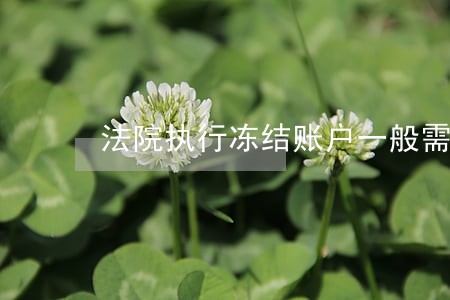 法院执行冻结账户一般需要几天