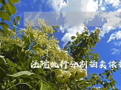 法院执行分割拍卖依据 法院执行分割拍卖依据