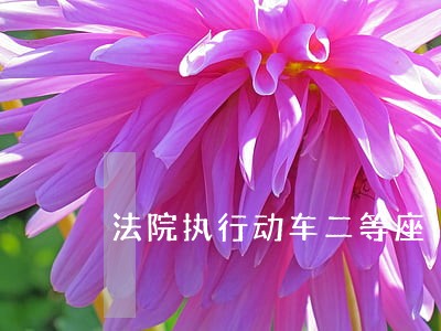 法院执行动车二等座 法院执行动车二等座