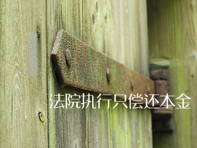 法院执行只偿还本金