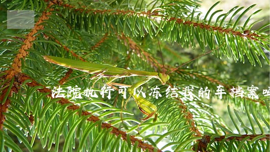 法院执行可以冻结我的车档案吗 法院执行可以冻结我的车档案吗