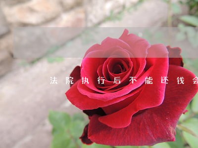 法院执行后不能还钱会冻结账户吗 法院执行后不能还钱会冻结账户吗
