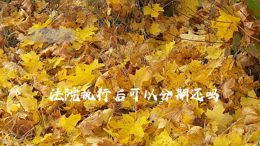 法院执行后可以分期还吗 法院执行后可以分期还吗