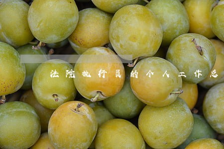 法院执行员的个人工作总结
