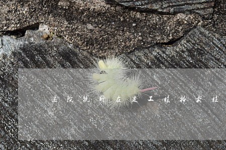 法院执行在建工程拍卖程序 法院执行在建工程拍卖程序