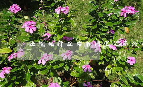 法院执行在文书网迟迟不公示 法院执行在文书网迟迟不公示