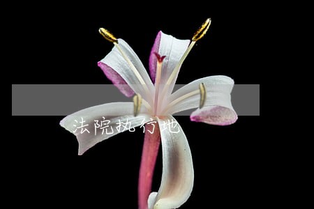 法院执行地 法院执行地
