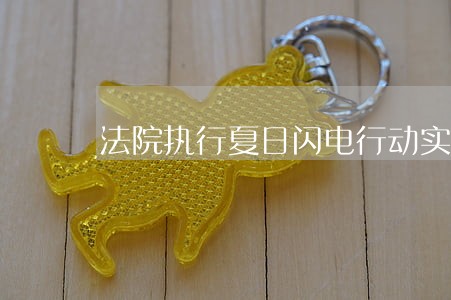 法院执行夏日闪电行动实施方案 法院执行夏日闪电行动实施方案
