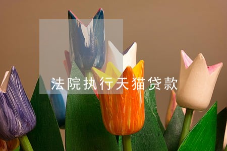 法院执行天猫贷款