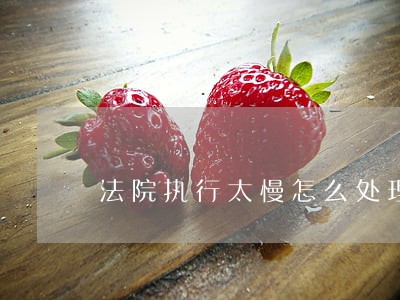 法院执行太慢怎么处理