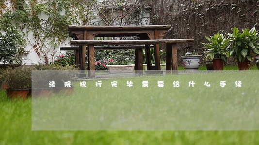 法院执行完毕需要给什么手续 法院执行完毕需要给什么手续