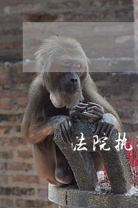 法院执行宗旨