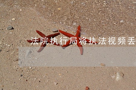 法院执行局将执法视频丢失怎么办 法院执行局将执法视频丢失怎么办