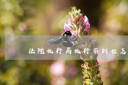 法院执行局执行不到位怎么办