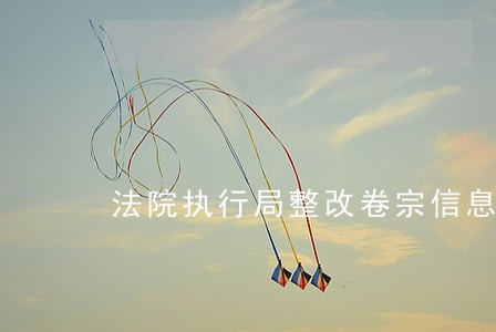 法院执行局整改卷宗信息简报 法院执行局整改卷宗信息简报
