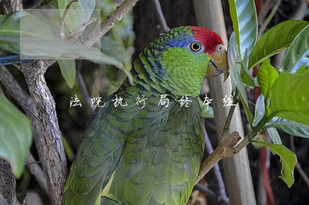 法院执行局终本组