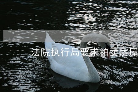 法院执行局要求拍卖房屋怎么办 法院执行局要求拍卖房屋怎么办