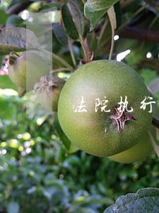 法院执行局长图片
