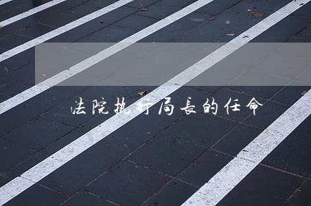 法院执行局长的任命