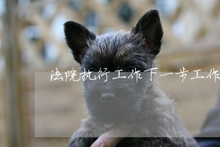 法院执行工作下一步工作打算 法院执行工作下一步工作打算