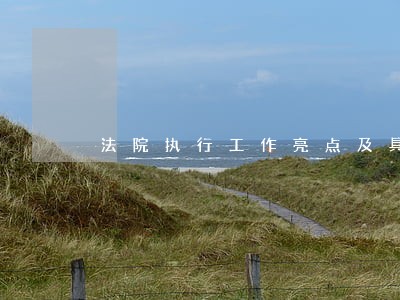 法院执行工作亮点及具体做法 法院执行工作亮点及具体做法