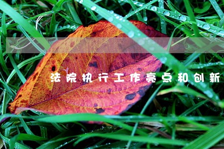 法院执行工作亮点和创新做法 法院执行工作亮点和创新做法