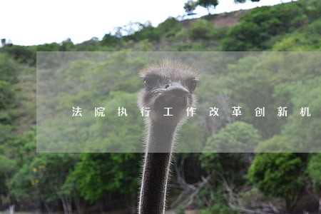 法院执行工作改革创新机制 法院执行工作改革创新机制