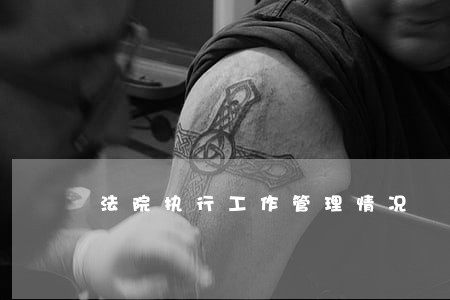 法院执行工作管理情况 法院执行工作管理情况