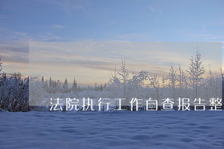法院执行工作自查报告整改措施 法院执行工作自查报告整改措施