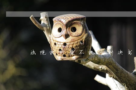 法院执行庭不执行判决书 法院执行庭不执行判决书
