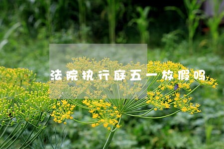 法院执行庭五一放假吗 法院执行庭五一放假吗