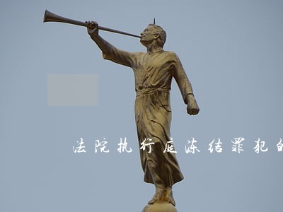 法院执行庭冻结罪犯的房产 法院执行庭冻结罪犯的房产