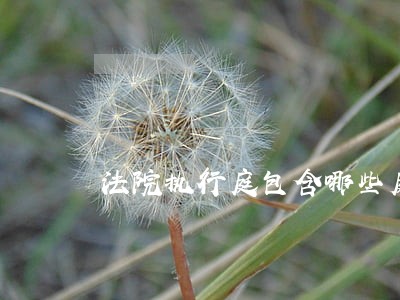 法院执行庭包含哪些庭