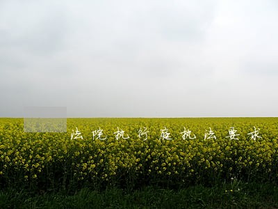 法院执行庭执法要求